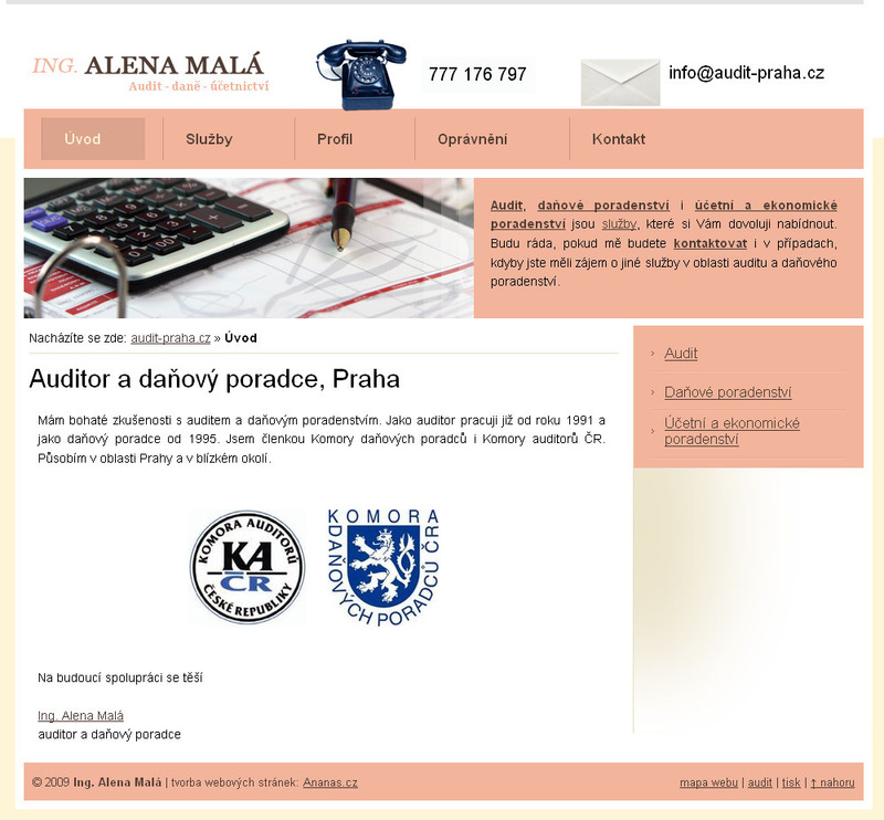 tvorba webových stránek: audit-praha.cz