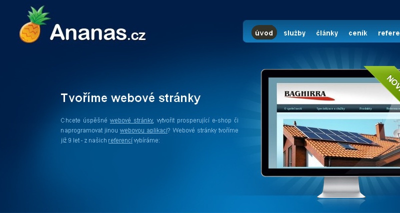 tvorba webových stránek: ananas.cz
